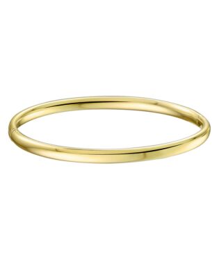 14K Bangle Armband met scharnier 4mm 14K Bangle Armband met scharnier 4mm