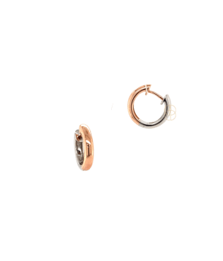 14K Bicolor Oorringen ⌀15