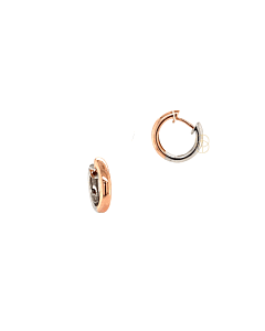 14K Bicolor Oorringen ⌀15