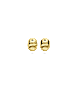 14K Oorknoppen