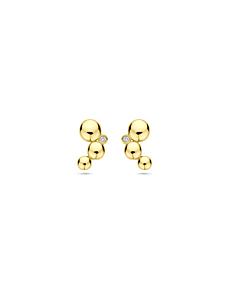 14K Briljant Oorknoppen