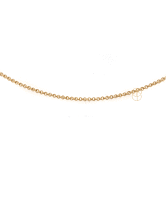 14K Jasseron Armband 